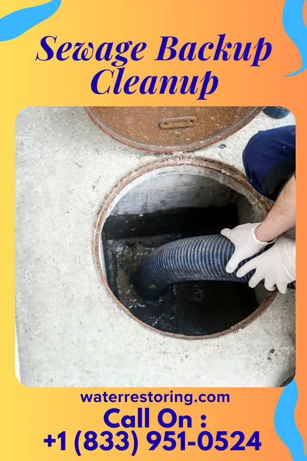 Sewage Backup Cleanup in Garner, TX